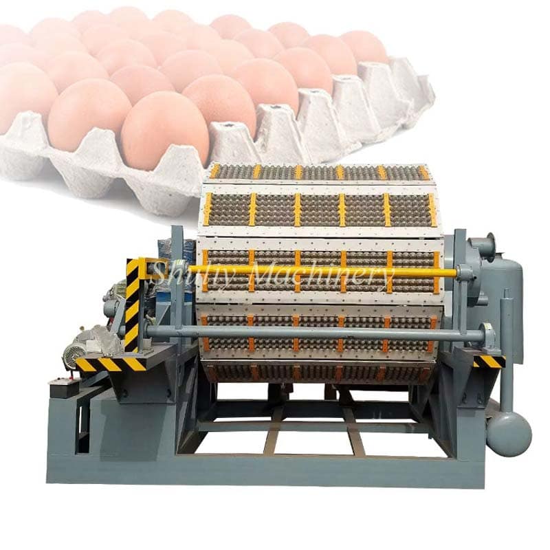 Máquina de bandejas de huevos de 8 lados 1 1