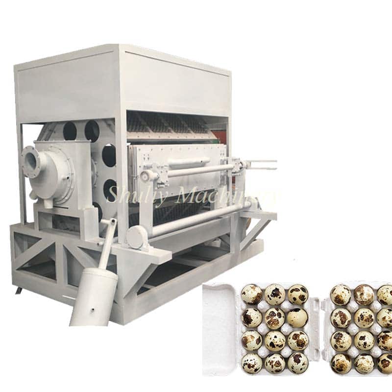 8 Side Egg Tray Machine 3