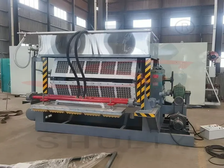 8 Side Egg Tray Machine For Start‑Up Packaging Production Business