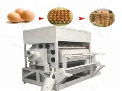 8 side Egg tray making machine