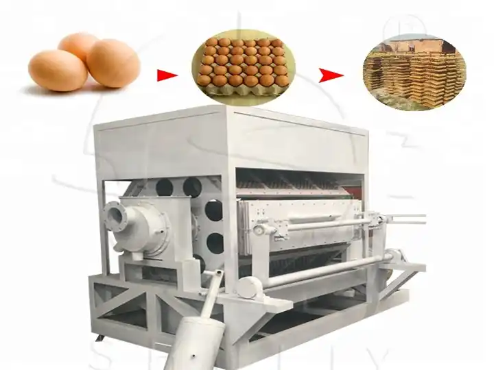8 side egg tray making machine