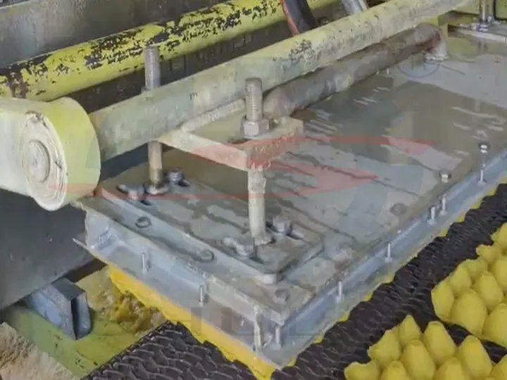 Egg tray molding transfer