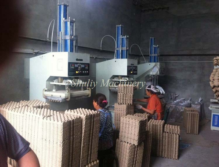 Egg Tray Packing Equipment