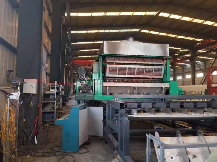 Sl-7000-6x8 egg tray production line