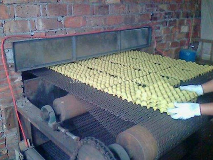 Egg tray drying equipment