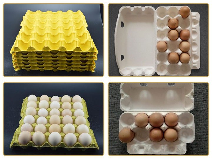 plateaux à œufs avec différentes spécifications