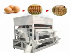 Eierkartonherstellungsmaschine