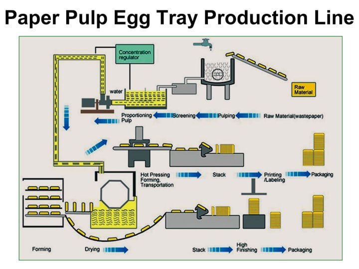 Línea de producción de bandejas de huevos de pulpa de papel. 