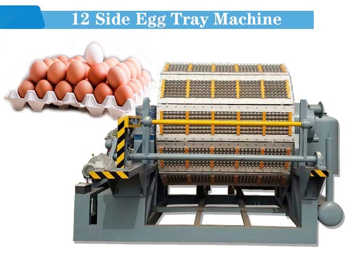 Máquina de cartón de huevos de 12 caras