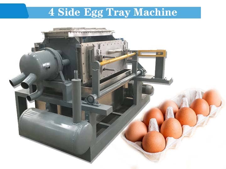 egg tray forming machine