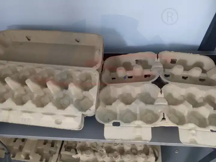 صينية البيض 4