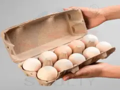 صينية البيض