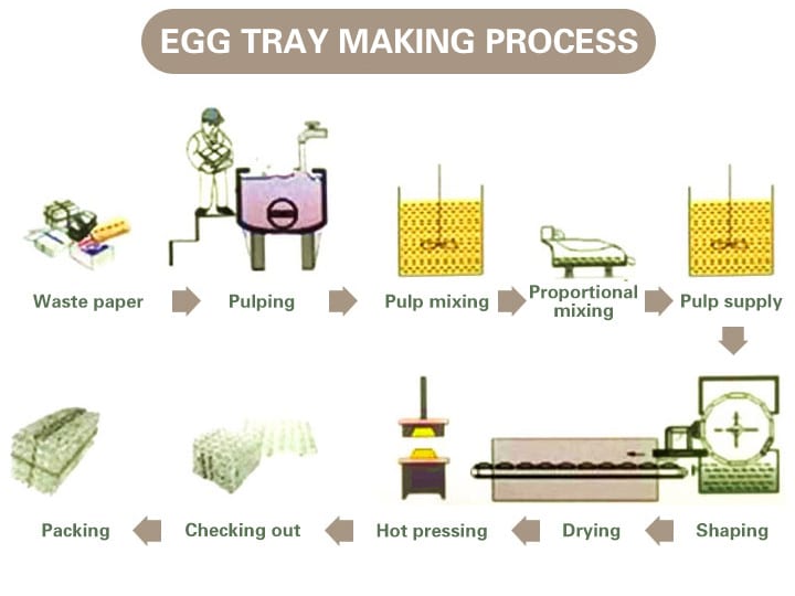 egg tray making process