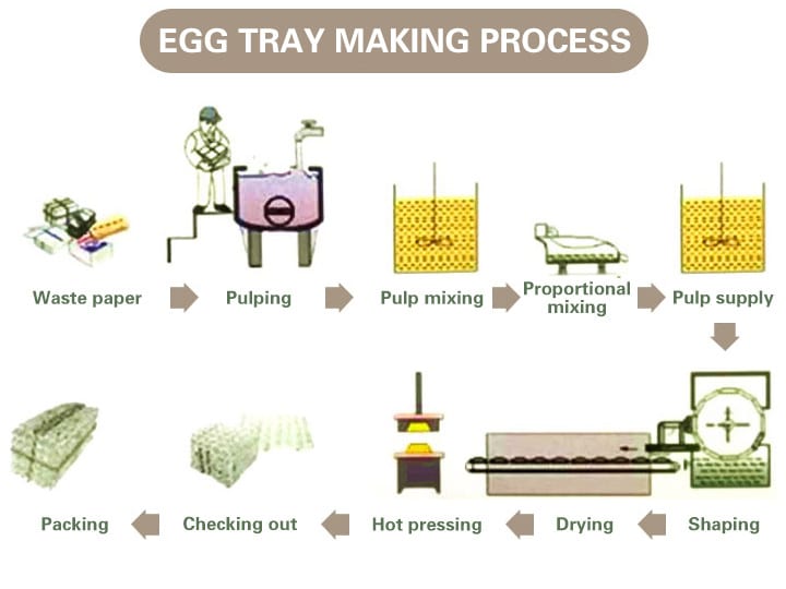 processo de fabricação de bandeja para ovos