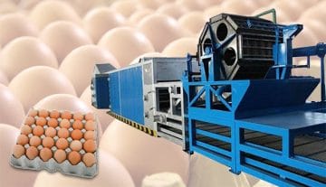 paper egg tray making plant for sale
