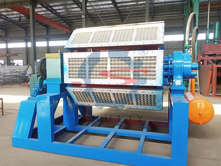 egg tray making machine cost