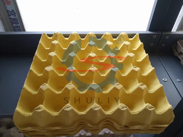 Egg trays from machine