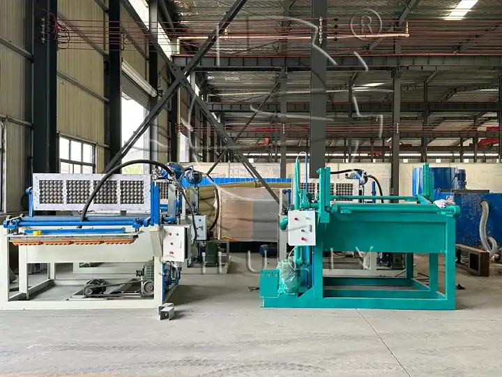 4×1 fruit tray making machine
