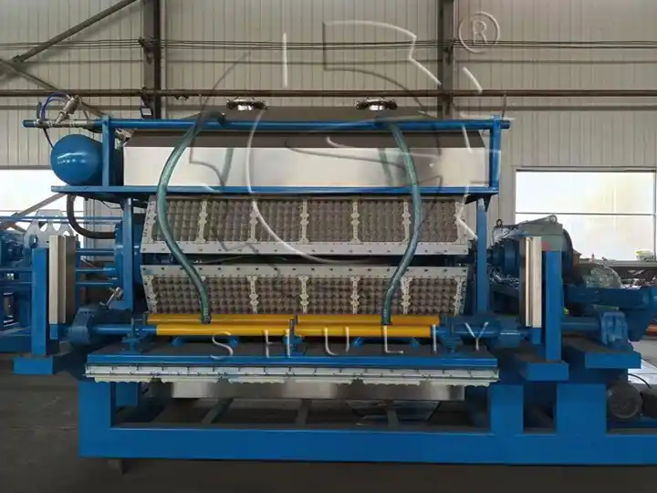 5×8 fruit tray making machine