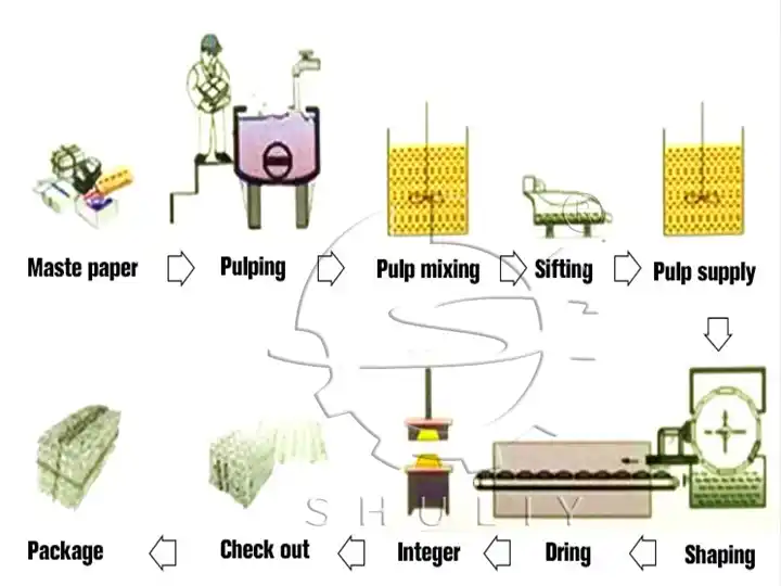 Fruit tray making process