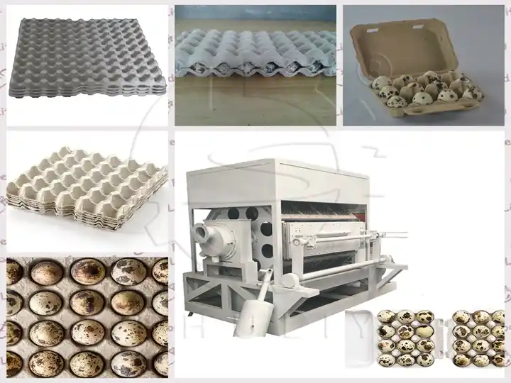 Quail egg tray making machine for sale
