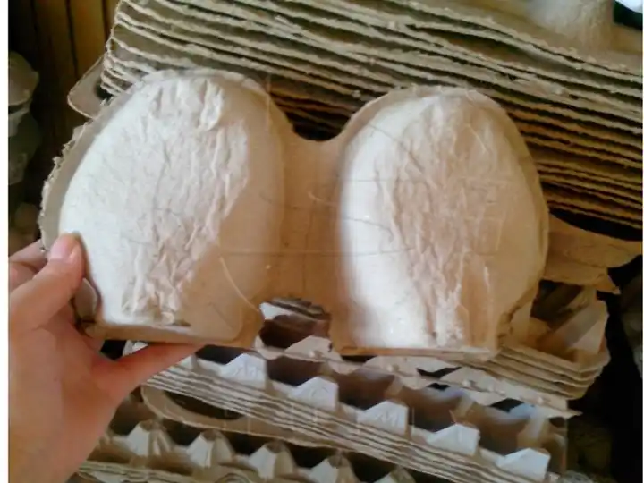 Shoe tray