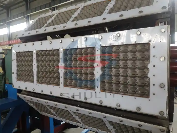 Seedling tray forming machine