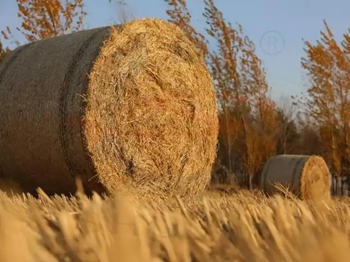 Wheat straw