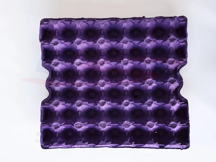 Purple egg tray