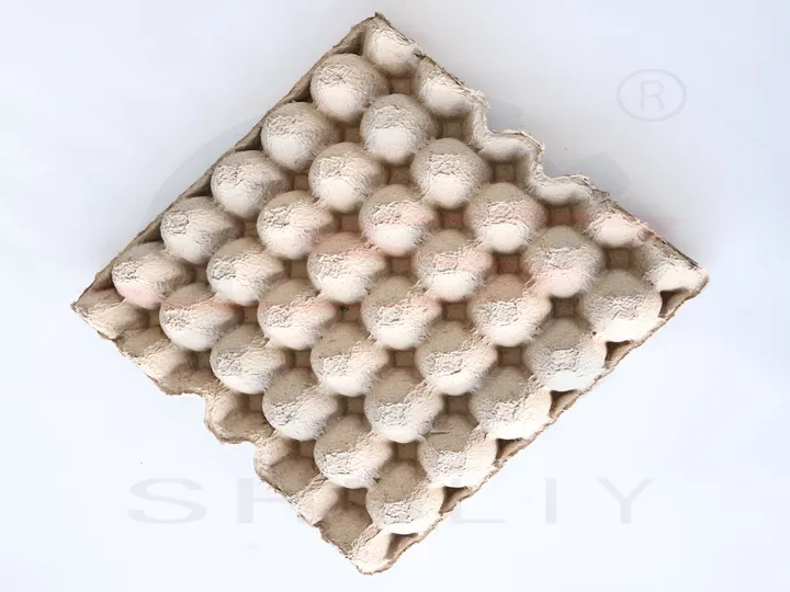 White egg tray
