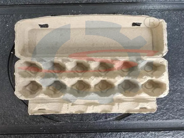 Egg carton display 4