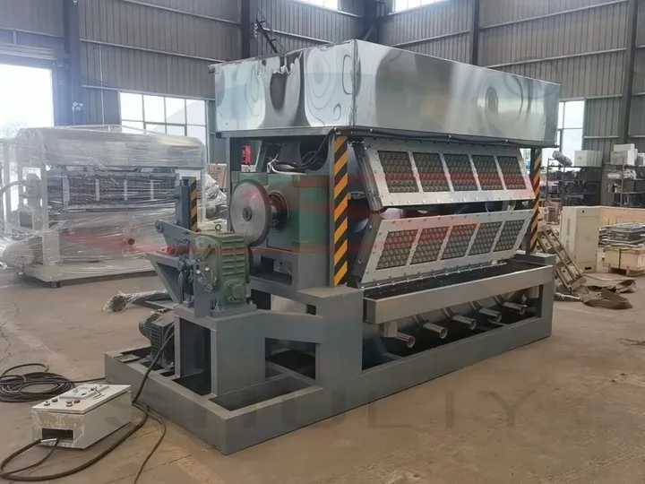 Sl-5000-5x8 egg carton machine