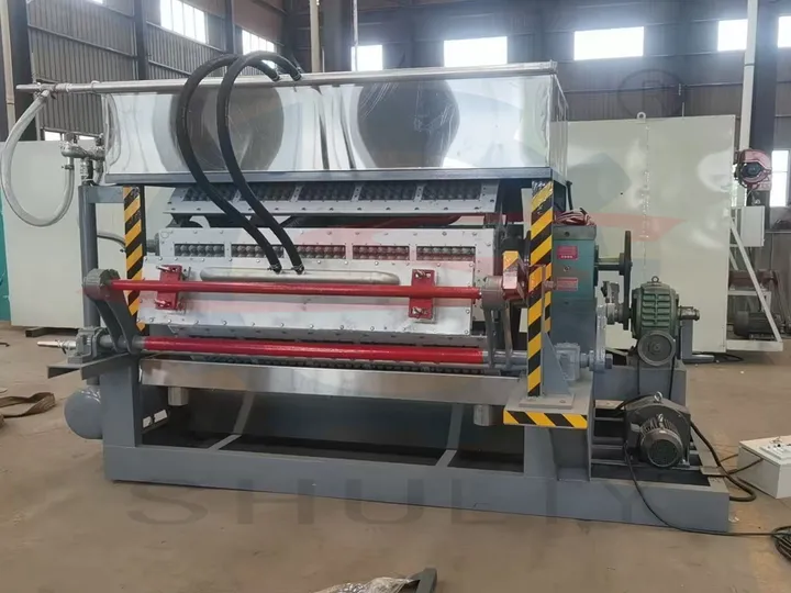 Sl-5x8 egg carton machine for egg tray manufacturing factory