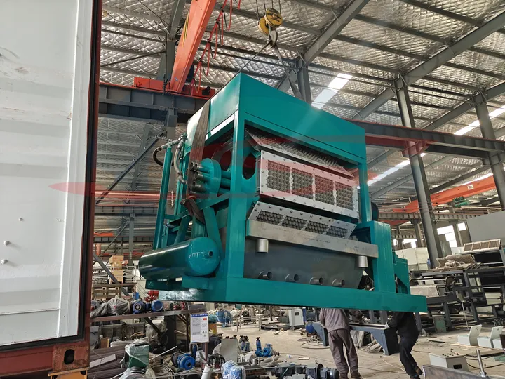 Waste paper pulp egg carton machine for sale