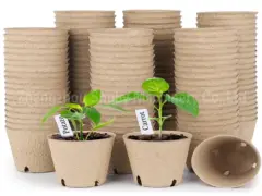 Biologisch abbaubare Einweg-Pulp-Keimlingsbecher