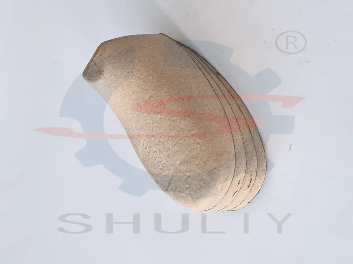 Shoe insert