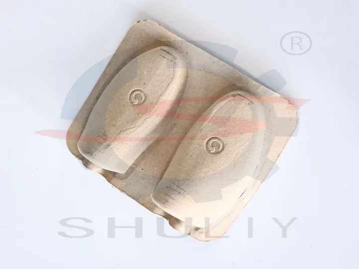 Shoe tray