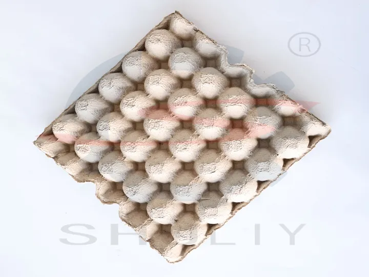 Standard egg tray
