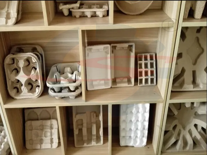 Various pulp molded trays manufactured by shuliy machinery