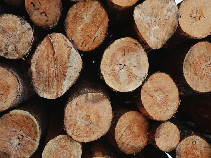 Wood