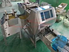 Automatic Egg Tray Loader
