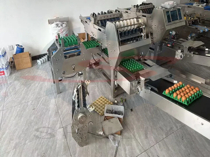 Automatic egg tray loader machine loading plastic egg trays