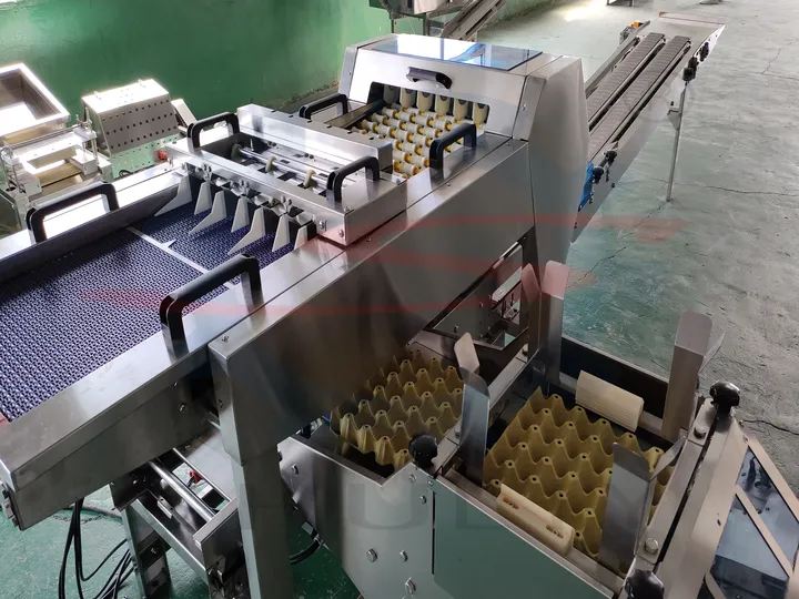 Automatic egg tray loader machine working principle