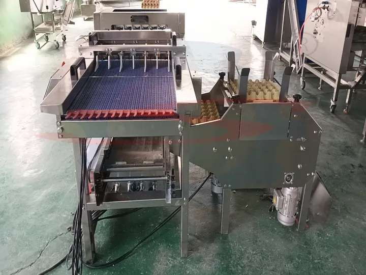 Automatic egg tray loader machine