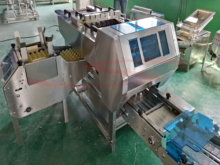 Automatic egg tray loader