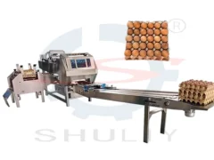 Automatic Egg Tray Loading Machine