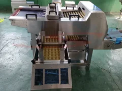 Automatic Egg Tray Loading Machine For Sale