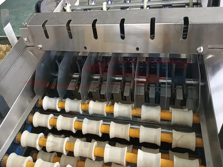 Egg feeding inlet