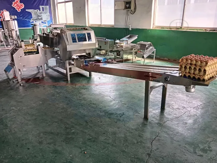 Egg tray loading and packing machine