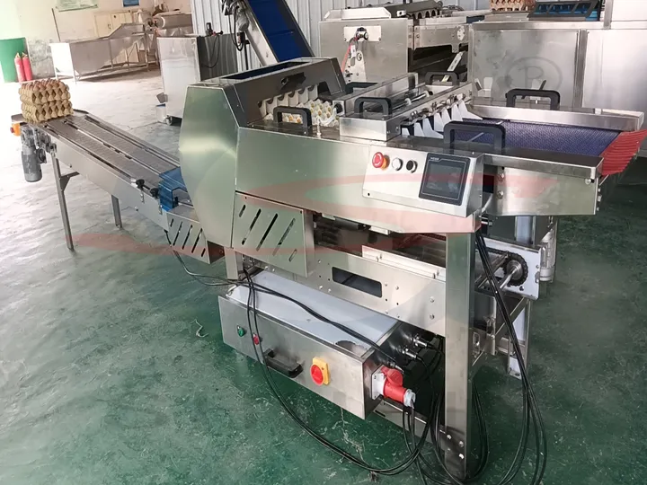 High speed automatic egg tray loading machine